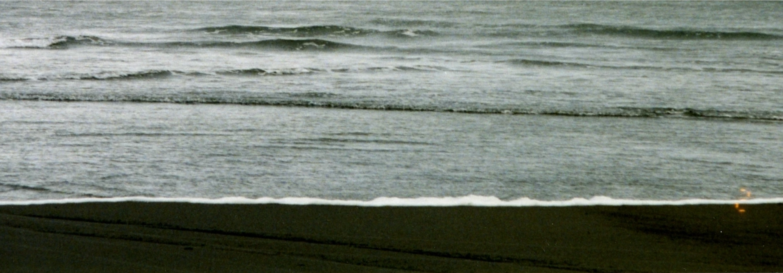 BuickleSabre1998 [зин/work in progress]. Аня белка — художница и фотограф