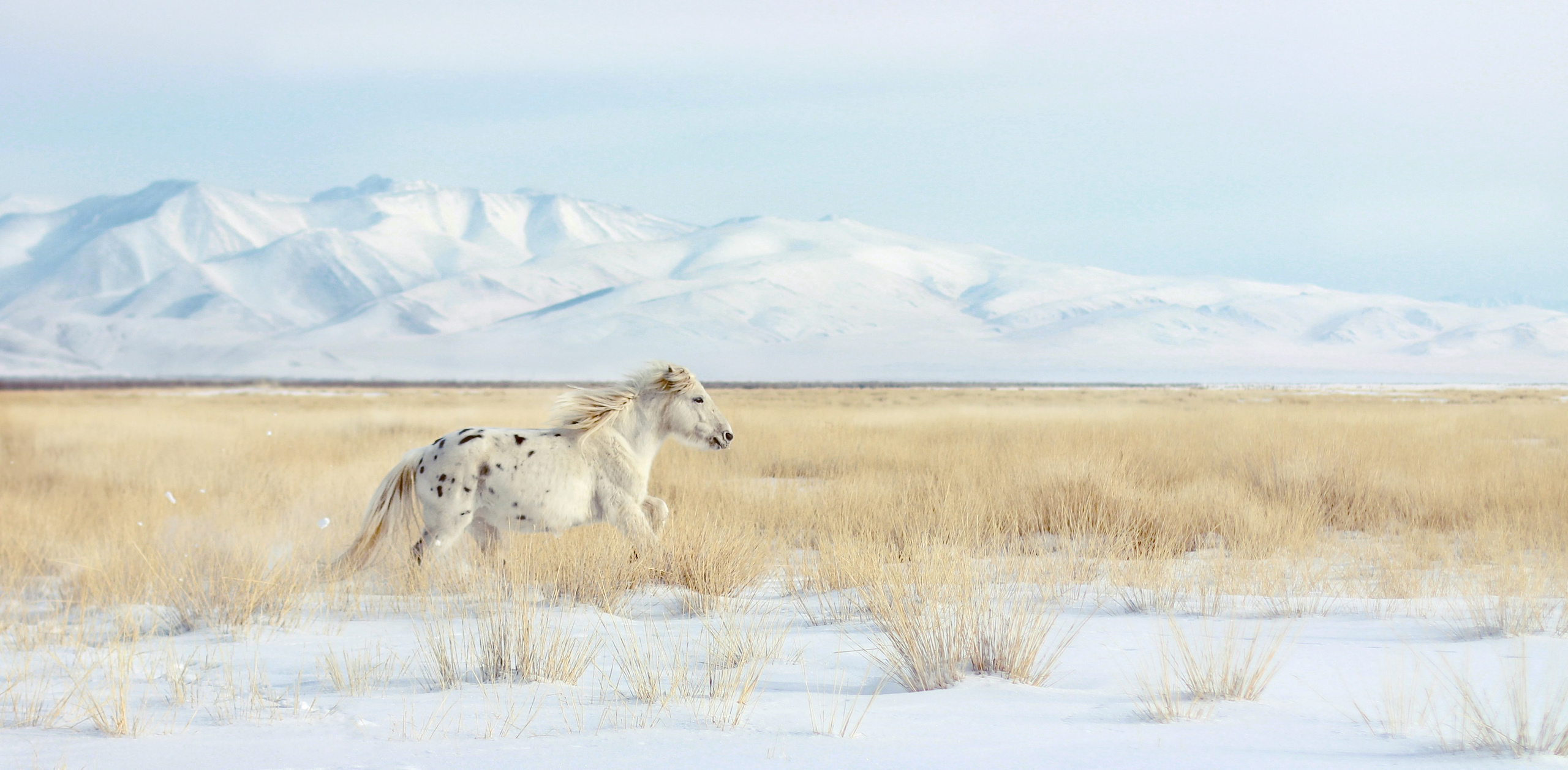 Portfolio Award 2024