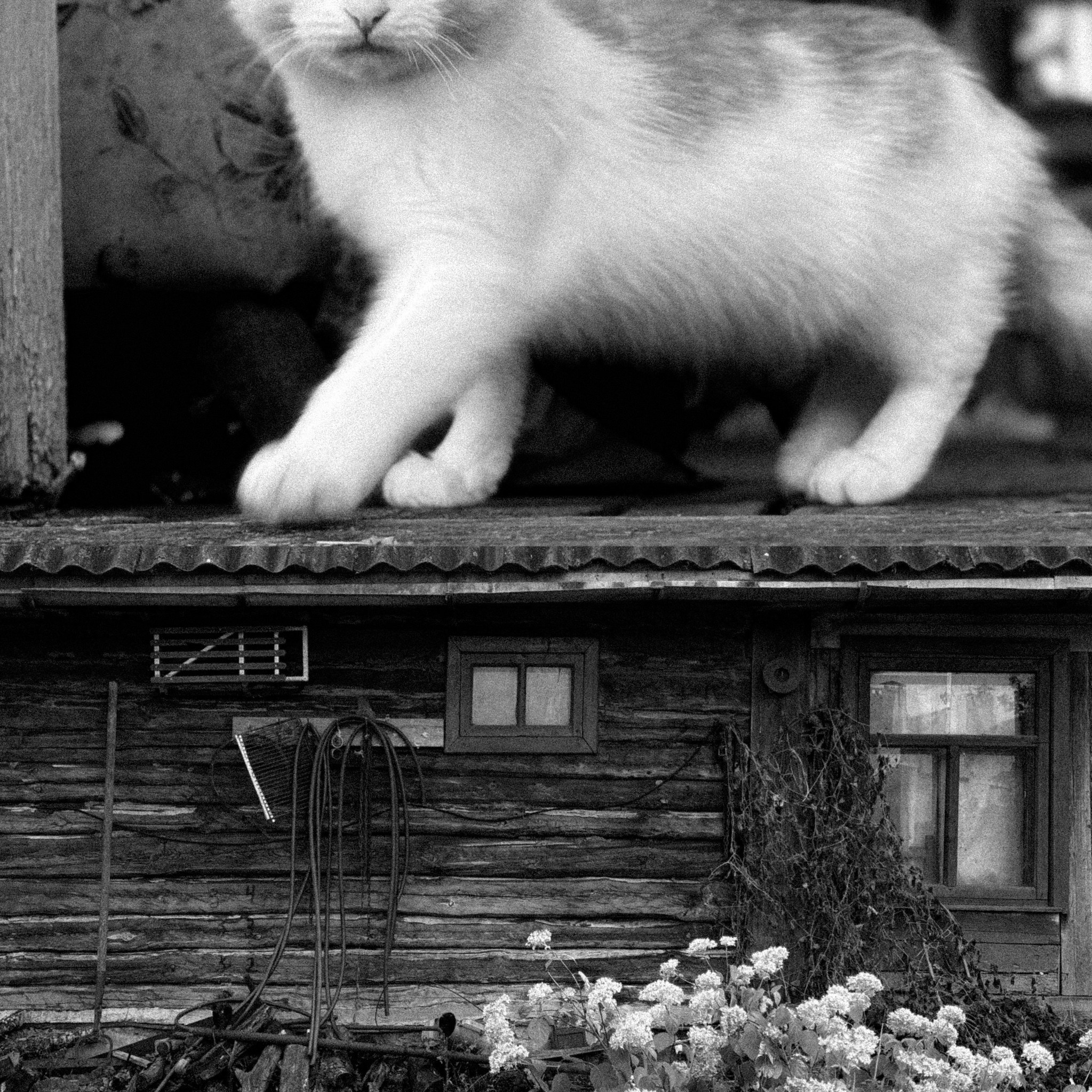 Альхашкина Дарья. Организация фотовыставок в Петербурге и Москве, MFamilia (МФамилия)