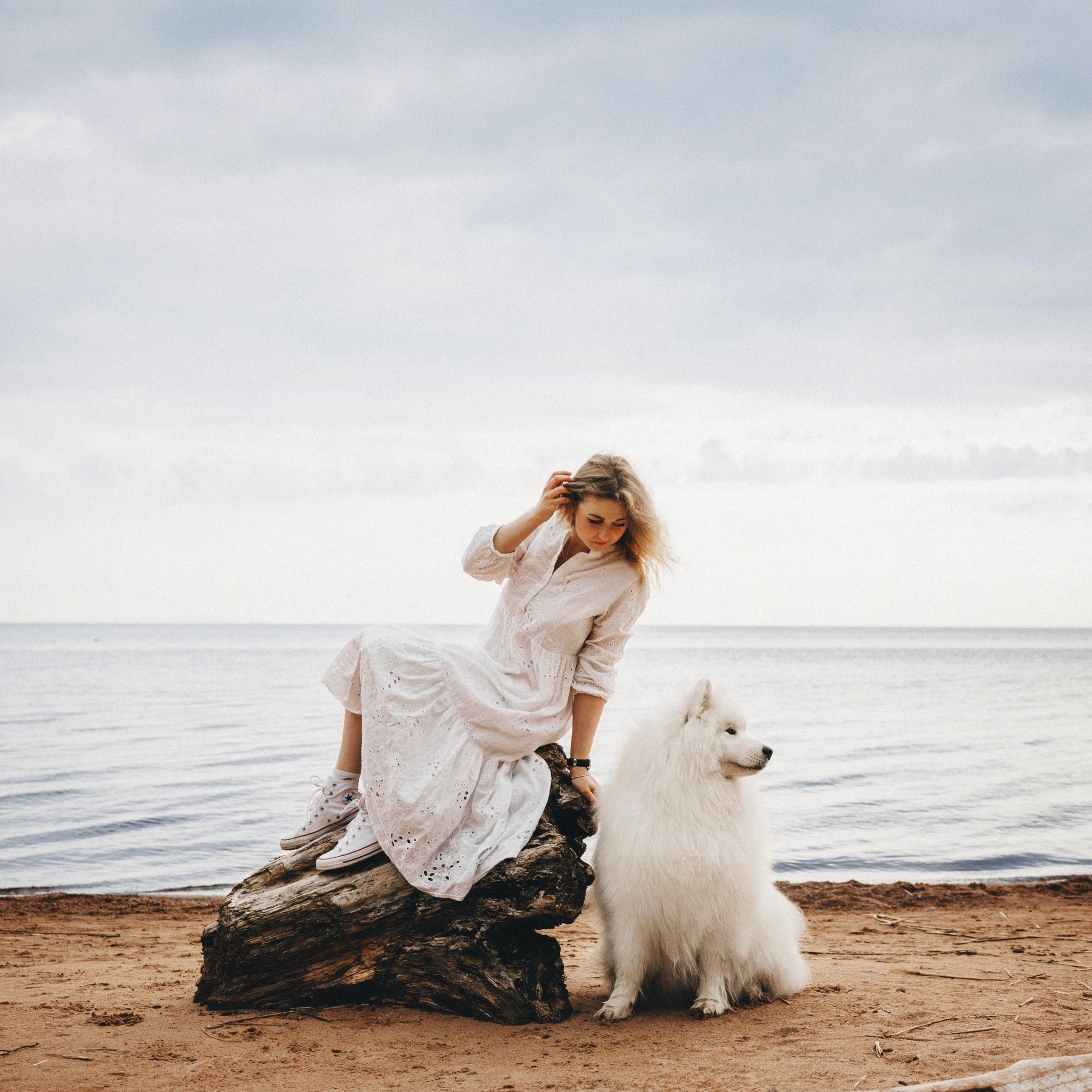 Прайс. Фотограф анималист Осипчикова Мария