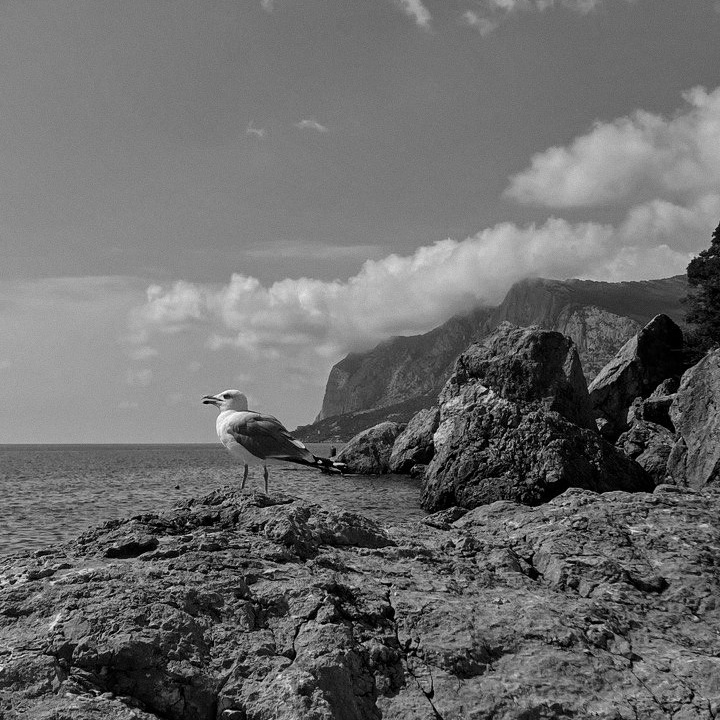 О студии. Съёмки для брендов в Крыму / Стилист / Продюсер / Женя Мамай