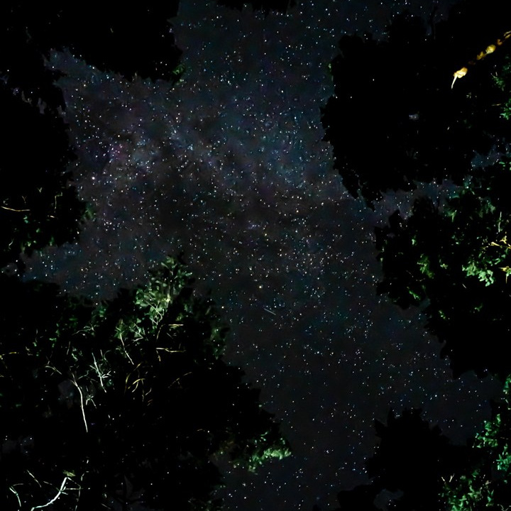 Сборы по гунфу Шаолиня в Петяярви 22–24 мая 2026 года. Лилия Гоца. Гунфу Шаолинь. Арт-фотография. Ретриты