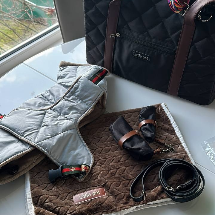 Доставка щенков по всему миру. Профессиональный питомник левреток РКФ/FCI ASTI SAPPHIRE 💎 Сочи|Санкт-Петербург