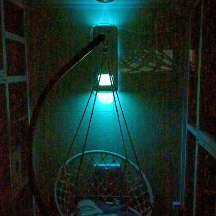 Гостиница для кошек Усики и хвостики, Красноярск