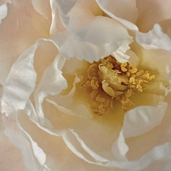 КУРС «Ближе к себе». Женский фотограф Аня Кириллова