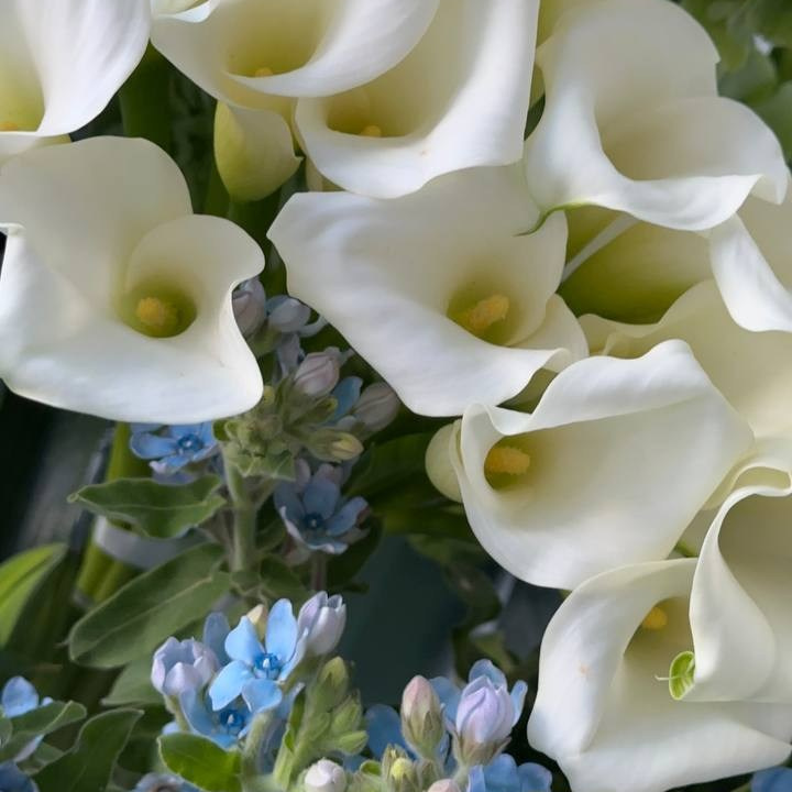 Наставничество для флористов. Цветочная студия Siena Flowers Воронеж