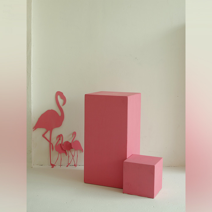 Мега-проект осени для детей 0+. Фотостудия Гранд в Санкт-Петербурге