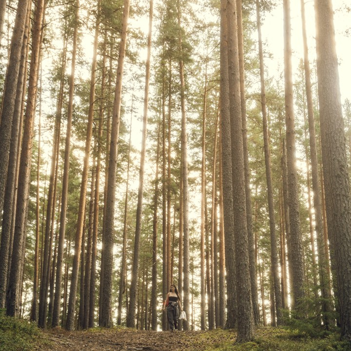 Сборы по гунфу Шаолиня в Петяярви 22–24 мая 2026 года. Лилия Гоца. Гунфу Шаолинь. Арт-фотография. Ретриты