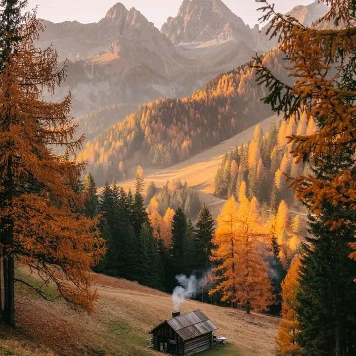 Фототуры. Семейный и детский фотограф в Москве