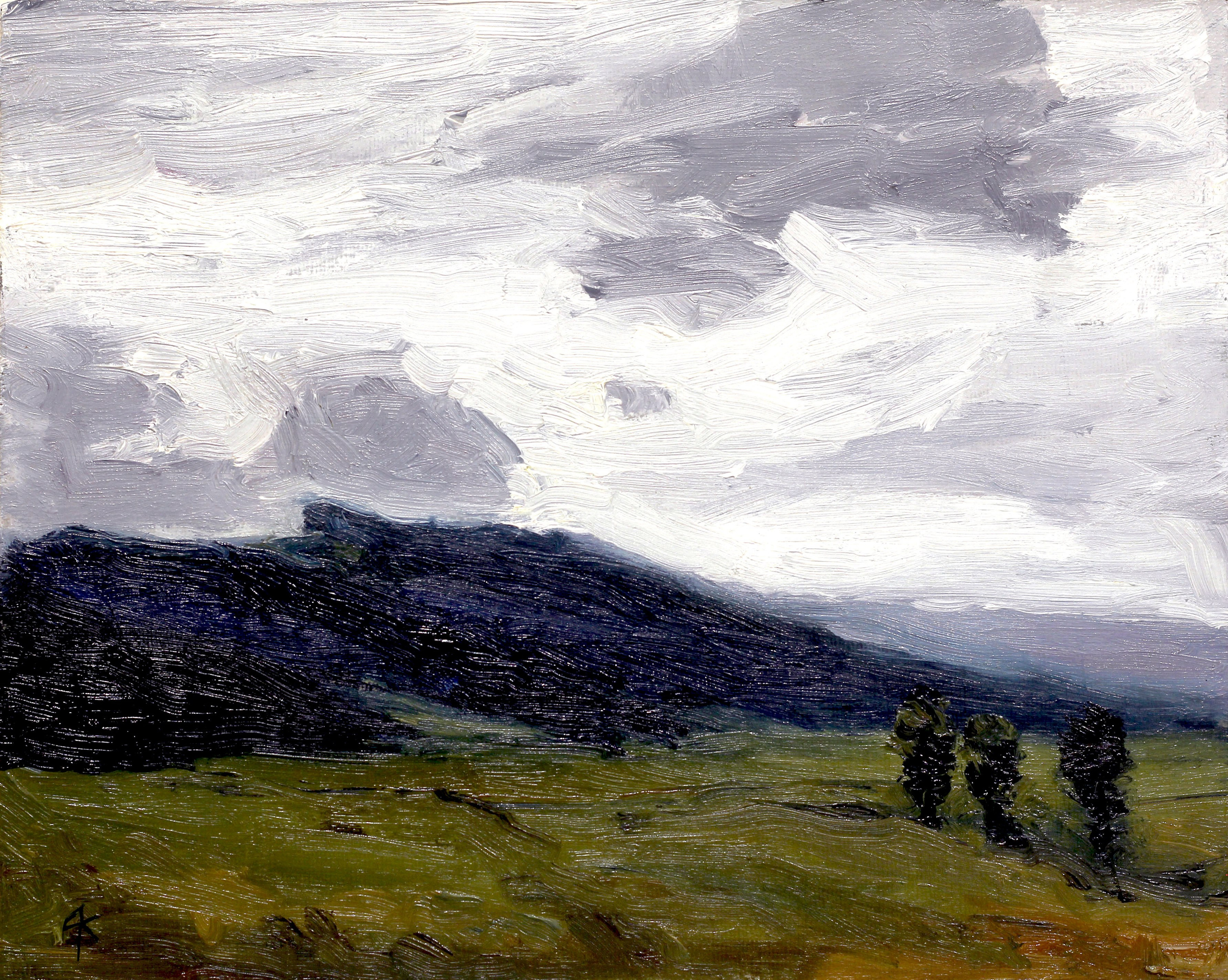 Картины на заказ. Кирилл Агеев художник Санкт-Петербург