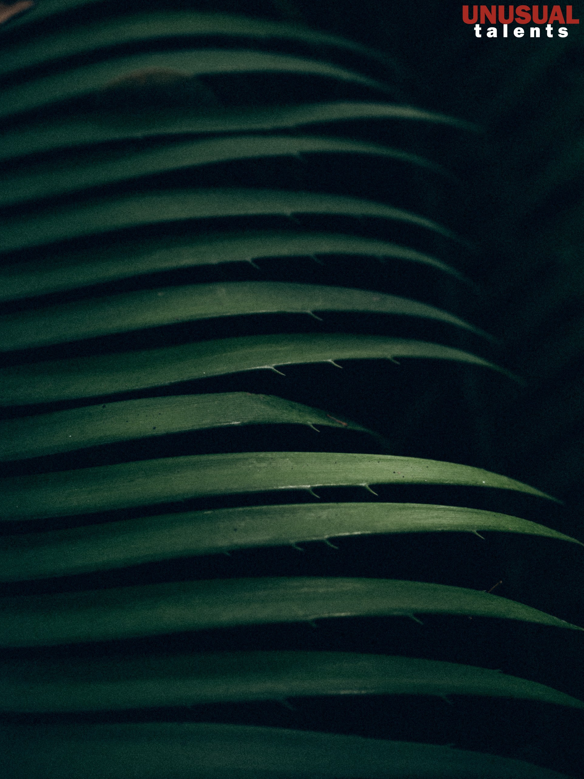 Iren Timofeeva. UNUSUAL TALENT magazine