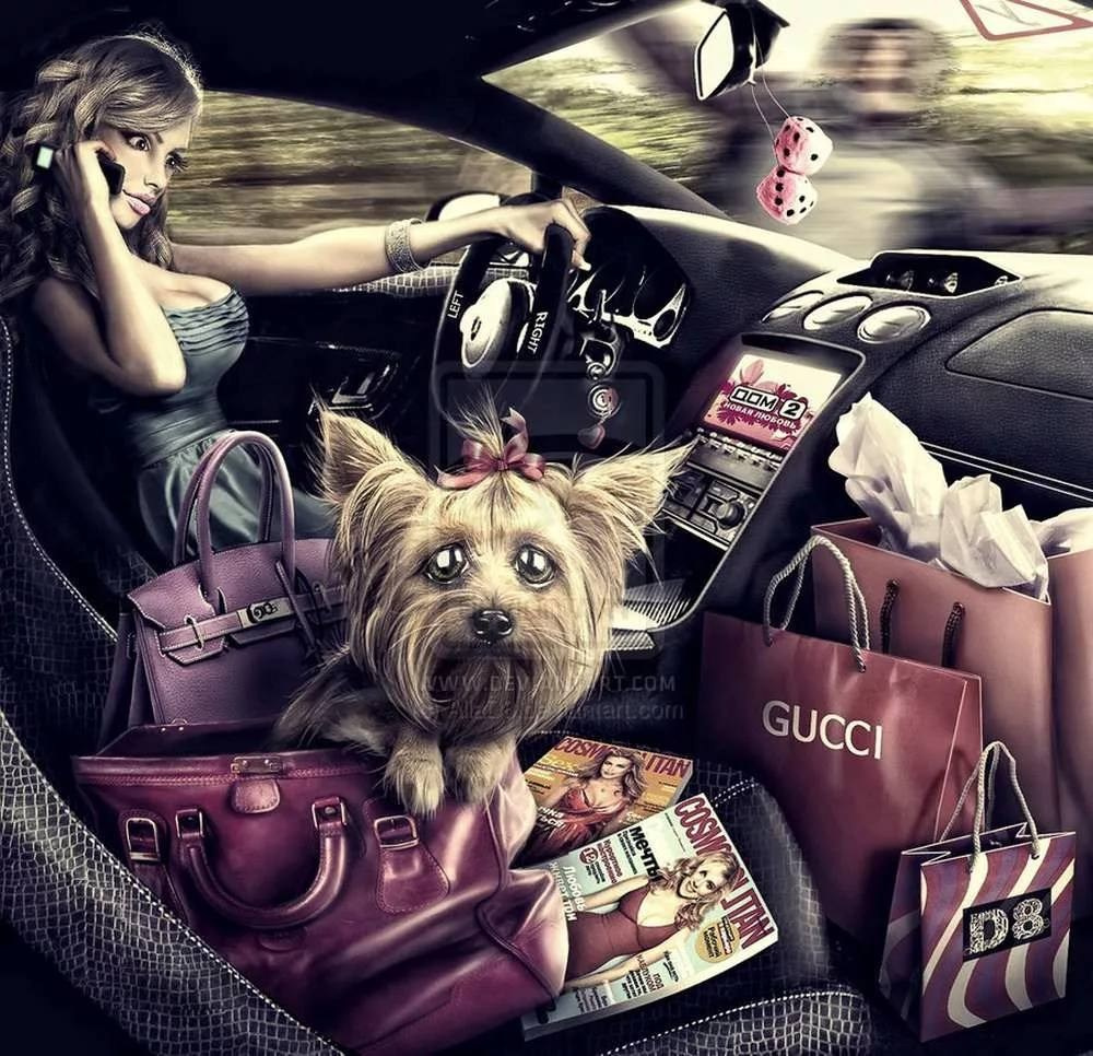 СЦЕНАРИЙ ВИДЕОРОЛИКА