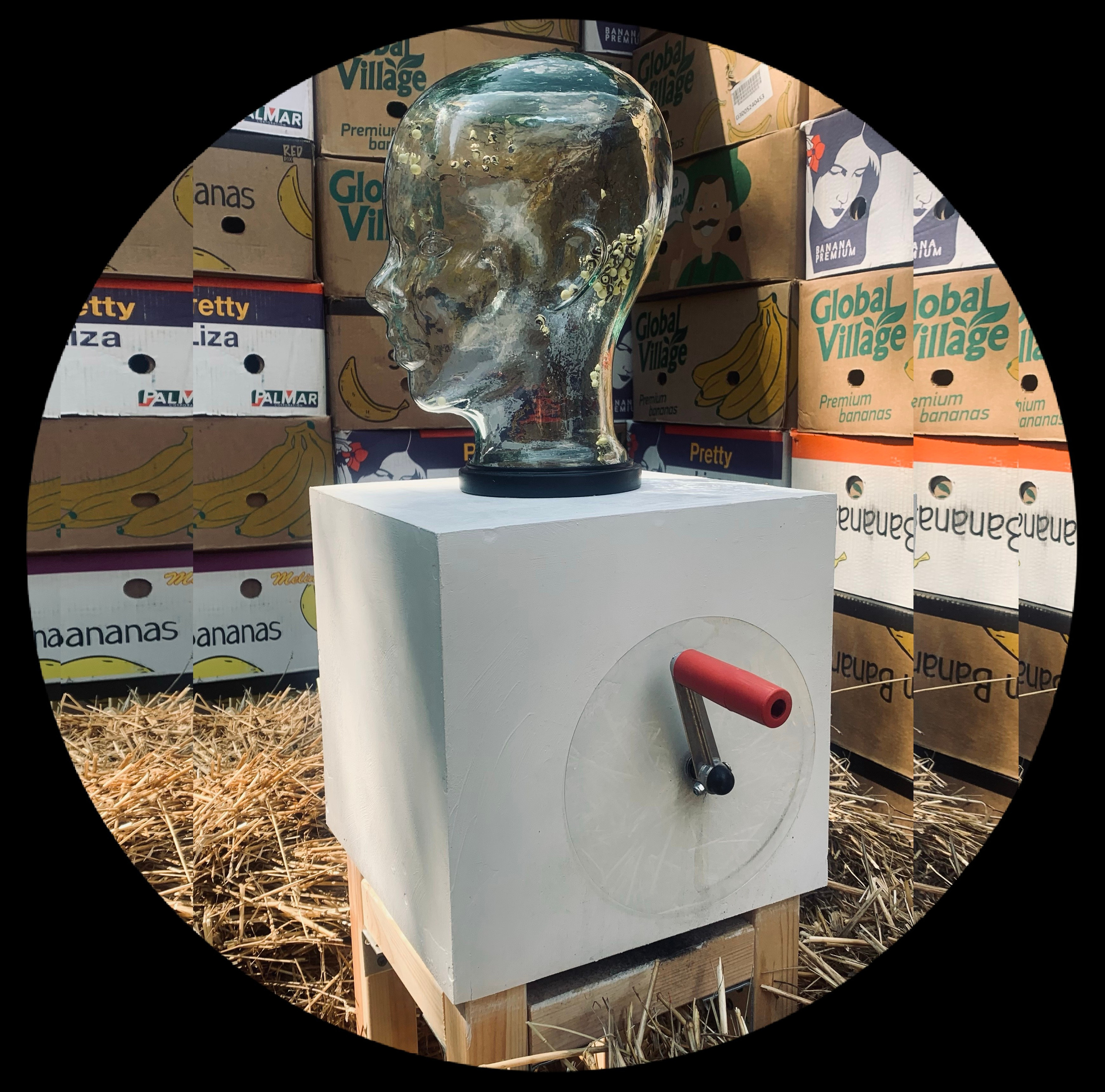 архстояние интерактивный арт объект стеклянная голова с пчёлами