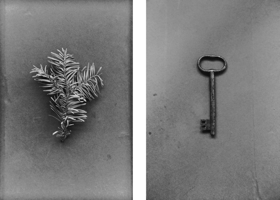 Интервью с Яной Герц. Private image