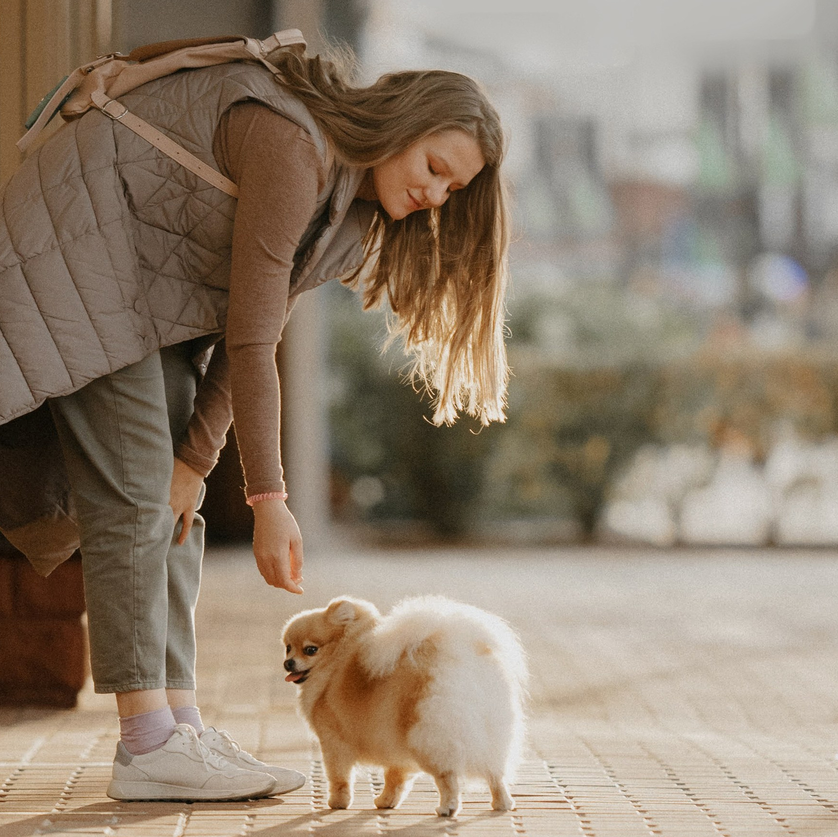 How it works. Photos of you and your pet