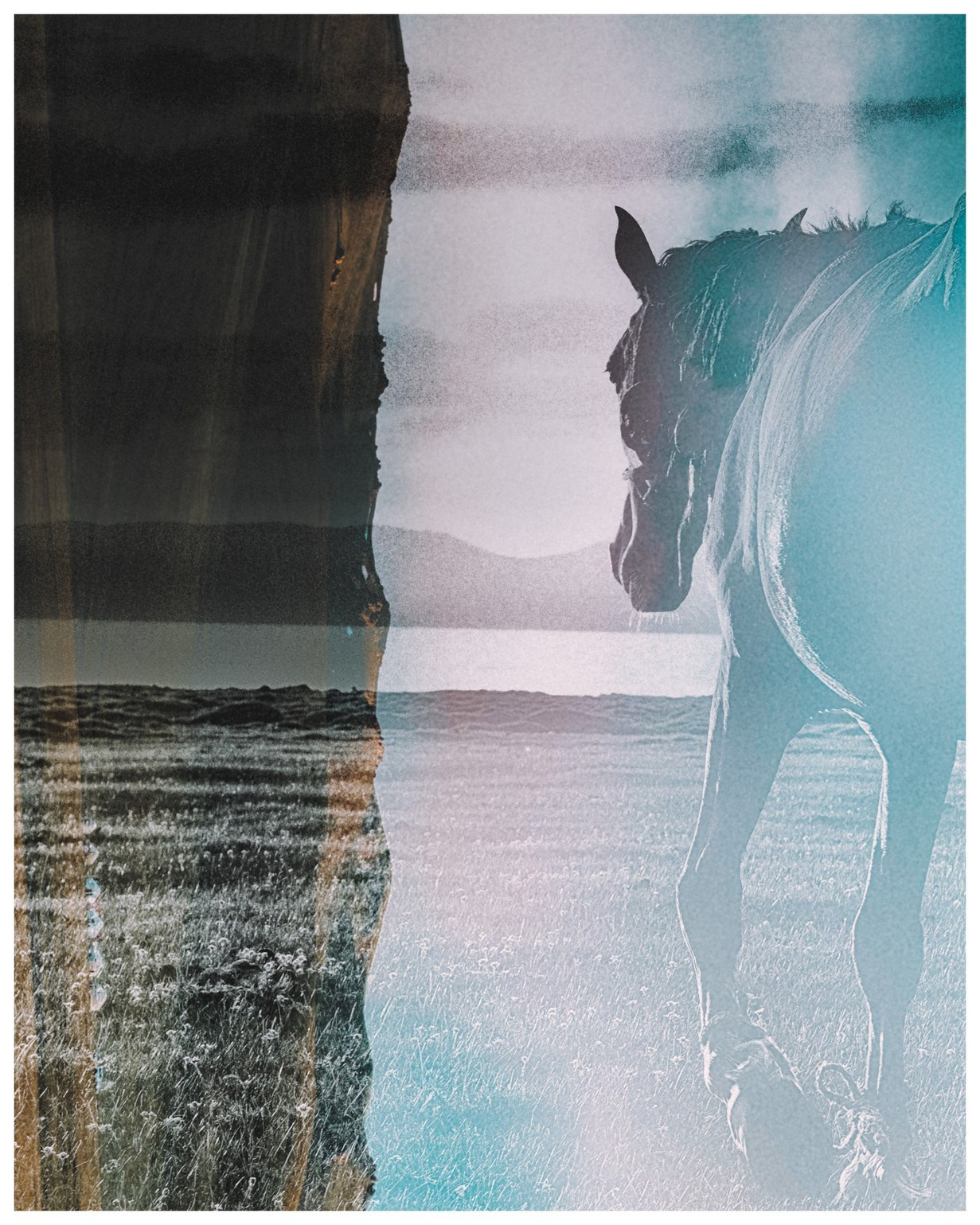 The sky is under your feet. HOME