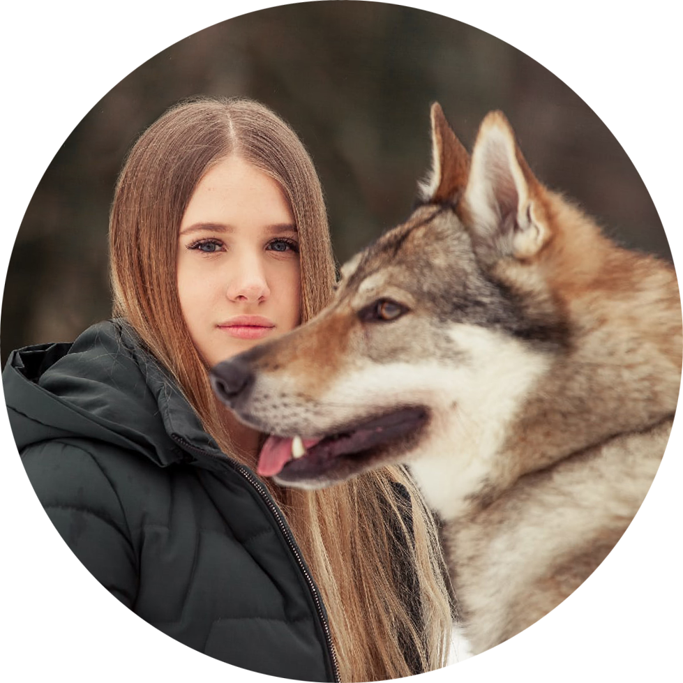 Катание на хаски в Спб