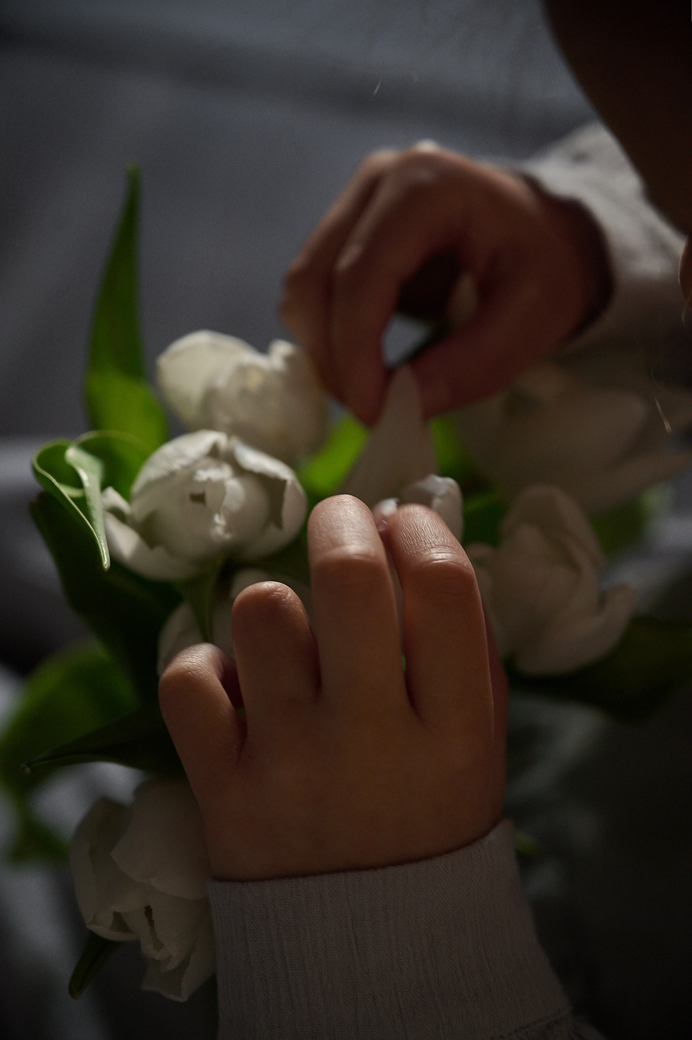 Ждём весну. Семейный и свадебный фотограф в Сарове Дмитрий Власов