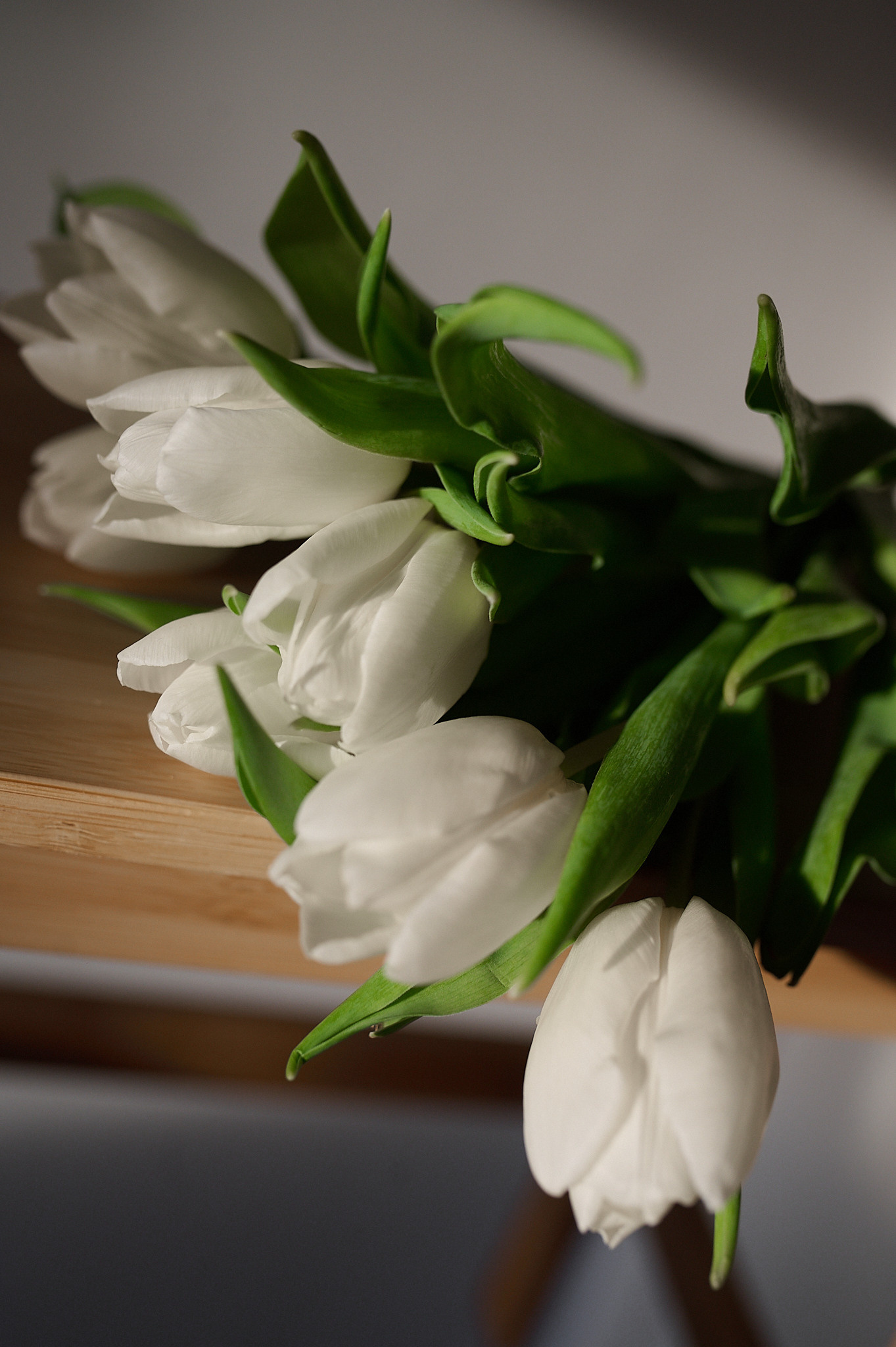 Ждём весну. Семейный и свадебный фотограф в Сарове Дмитрий Власов