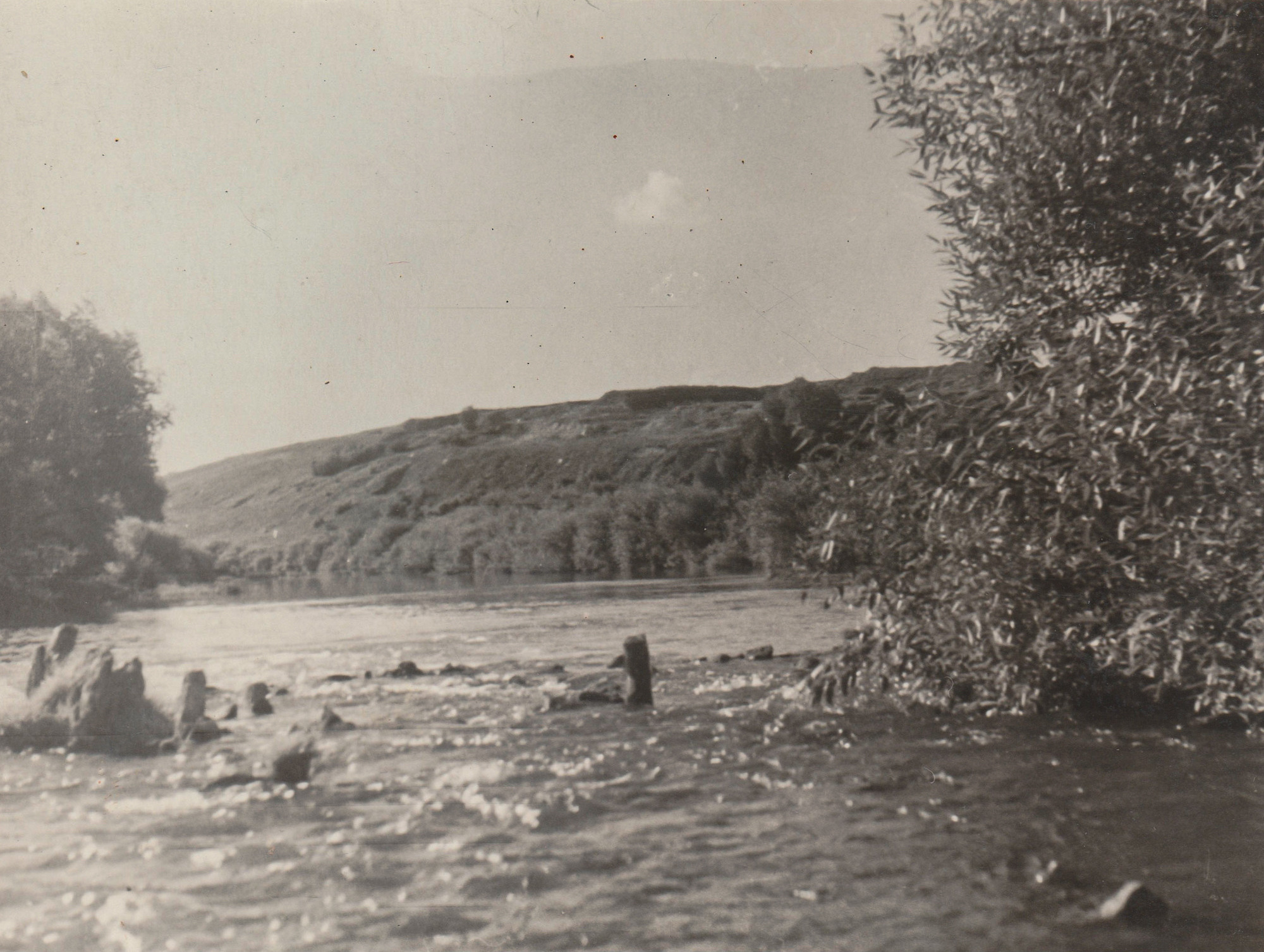 Another swallow | ongoing. Nasti Davydova