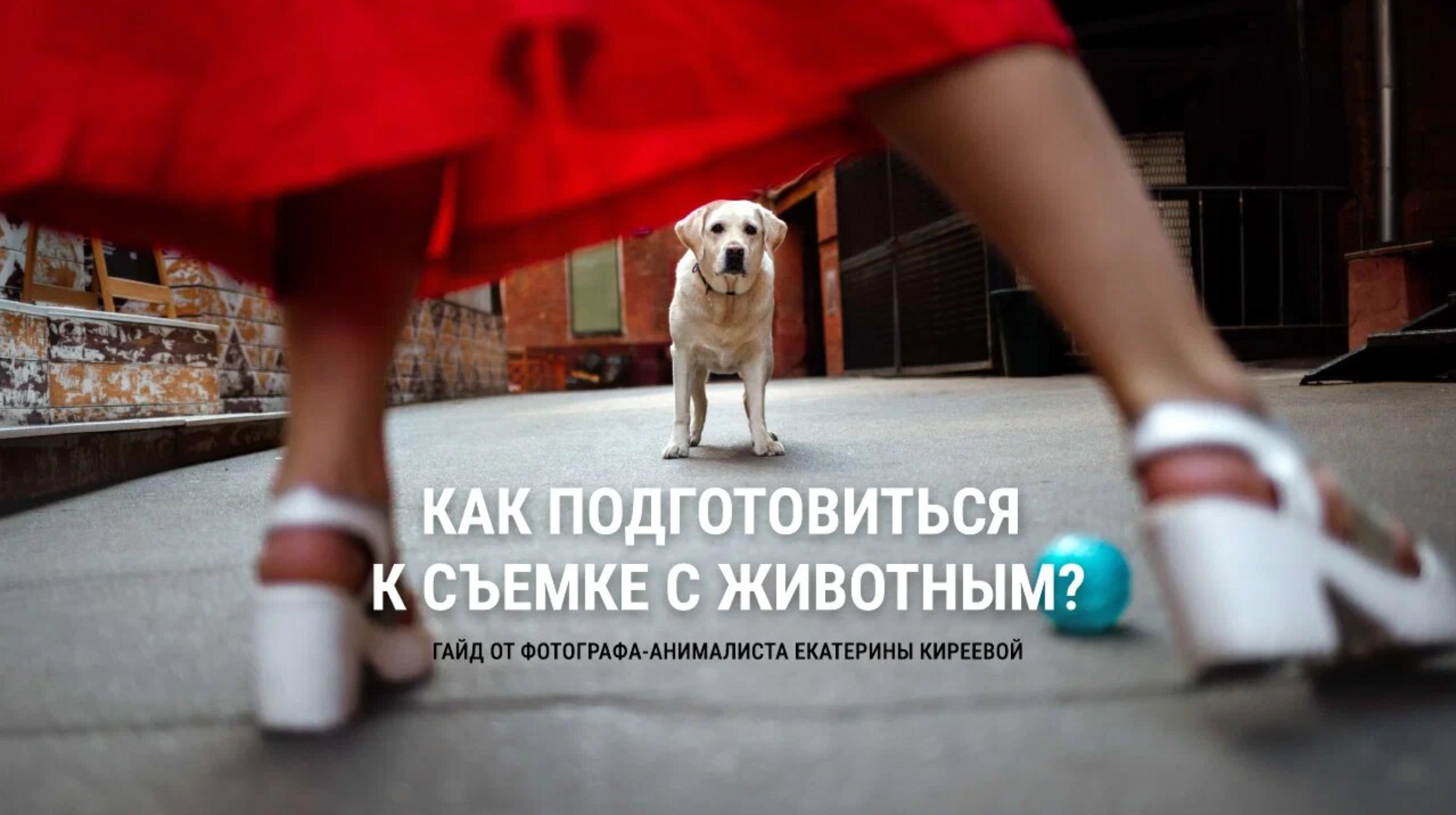 Видеоуроки и гайды