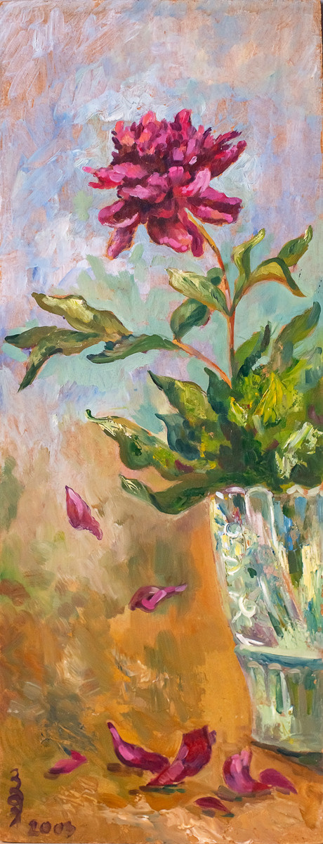 Роза. צלם ואמן ילדים ומשפחה