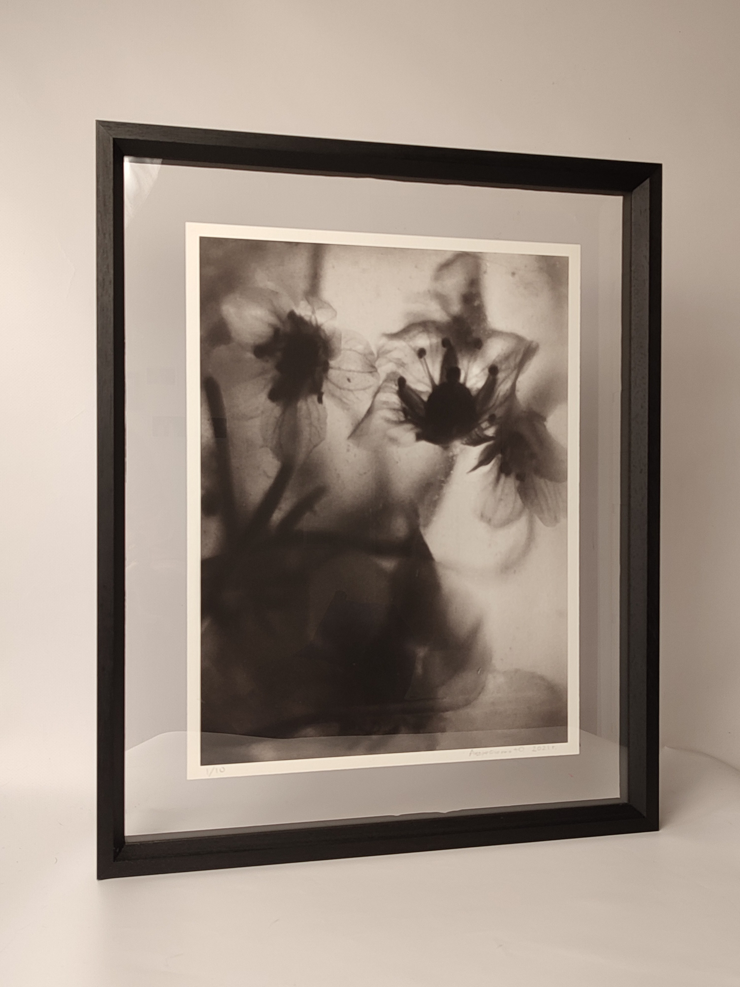 Серия «Цветы и медузы». Плёночный фотограф Юлия Андрейченко в Москве