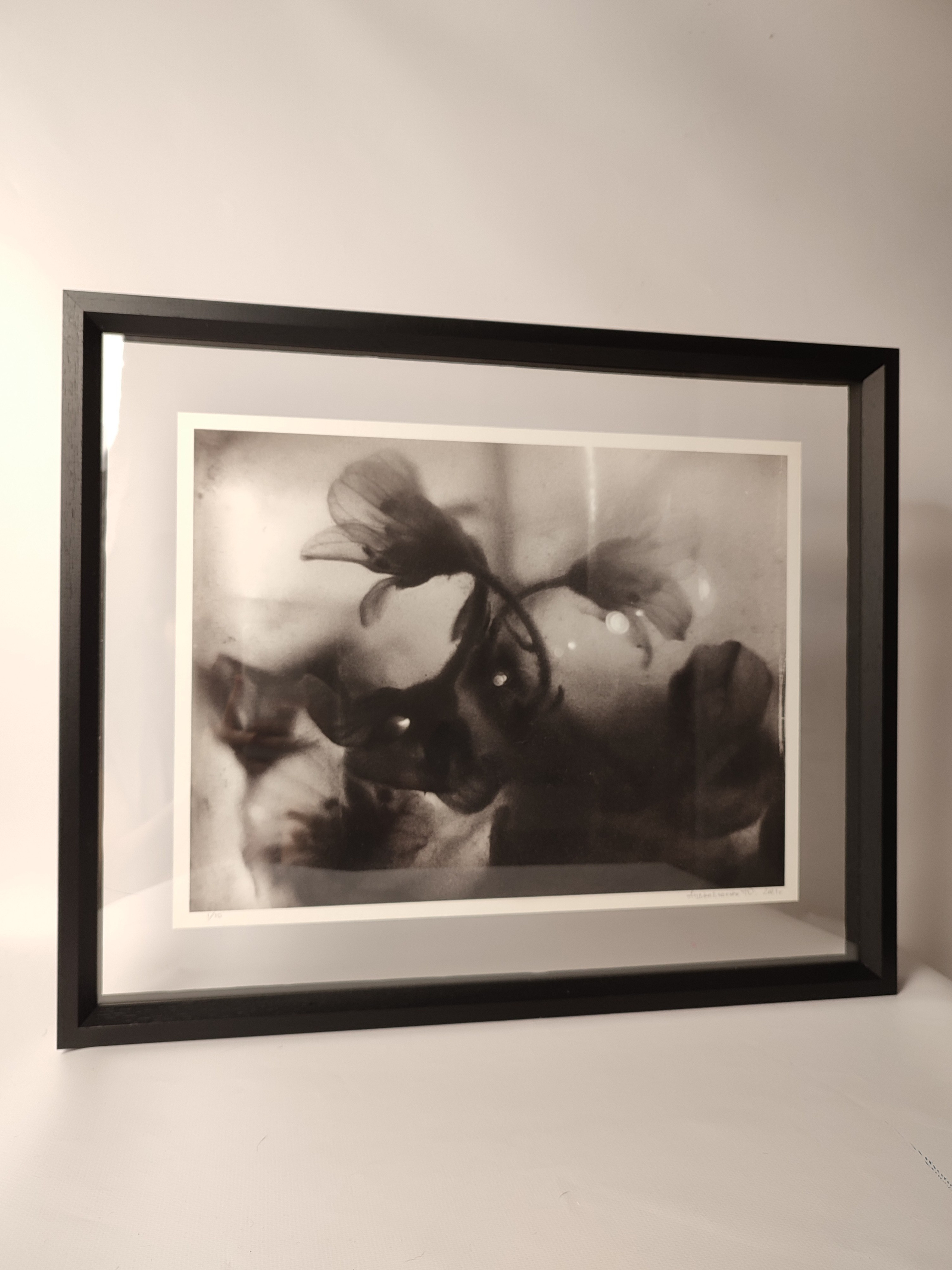 Серия «Цветы и медузы». Плёночный фотограф Юлия Андрейченко в Москве