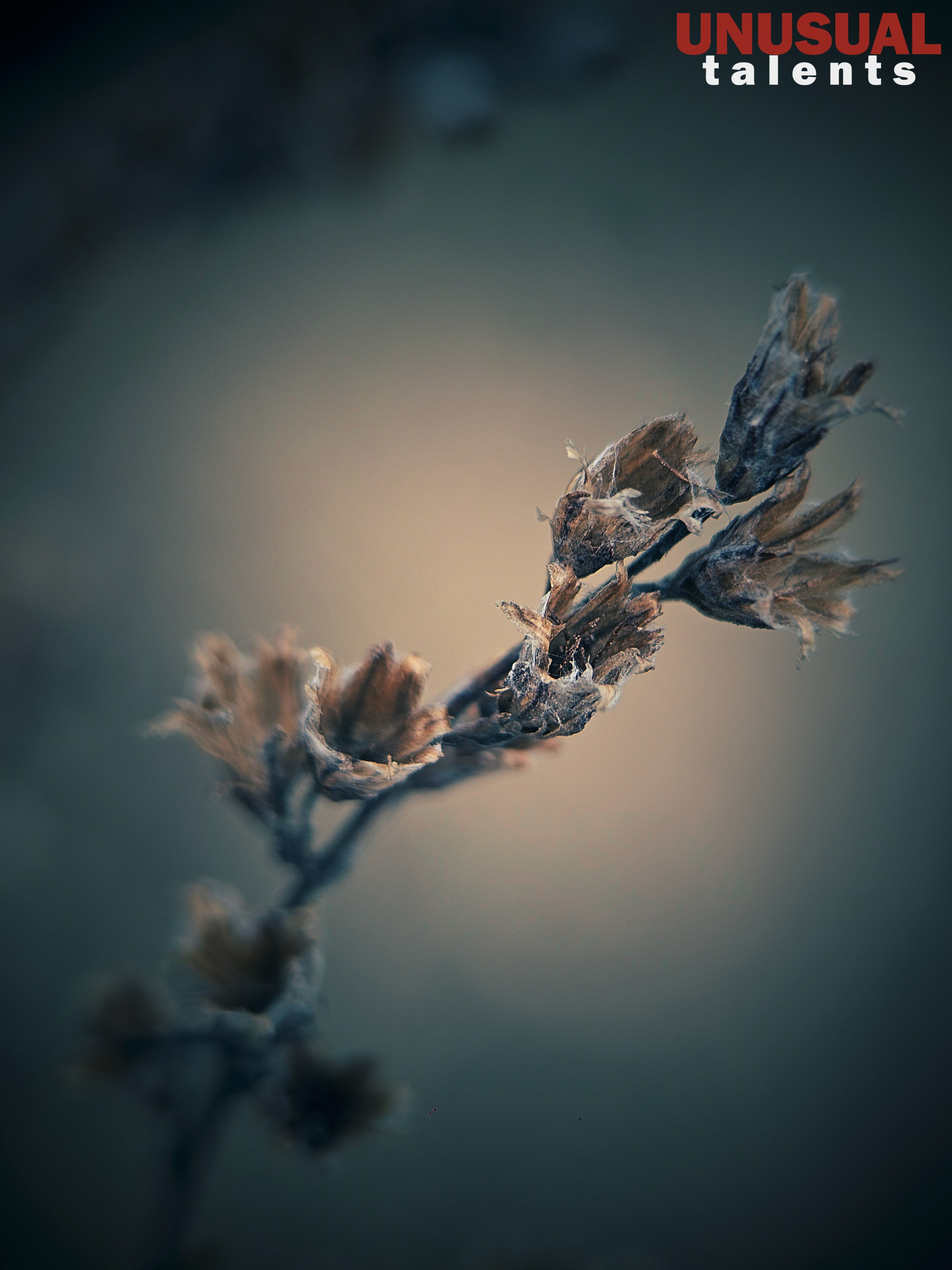 April 2026. UNUSUAL TALENT magazine