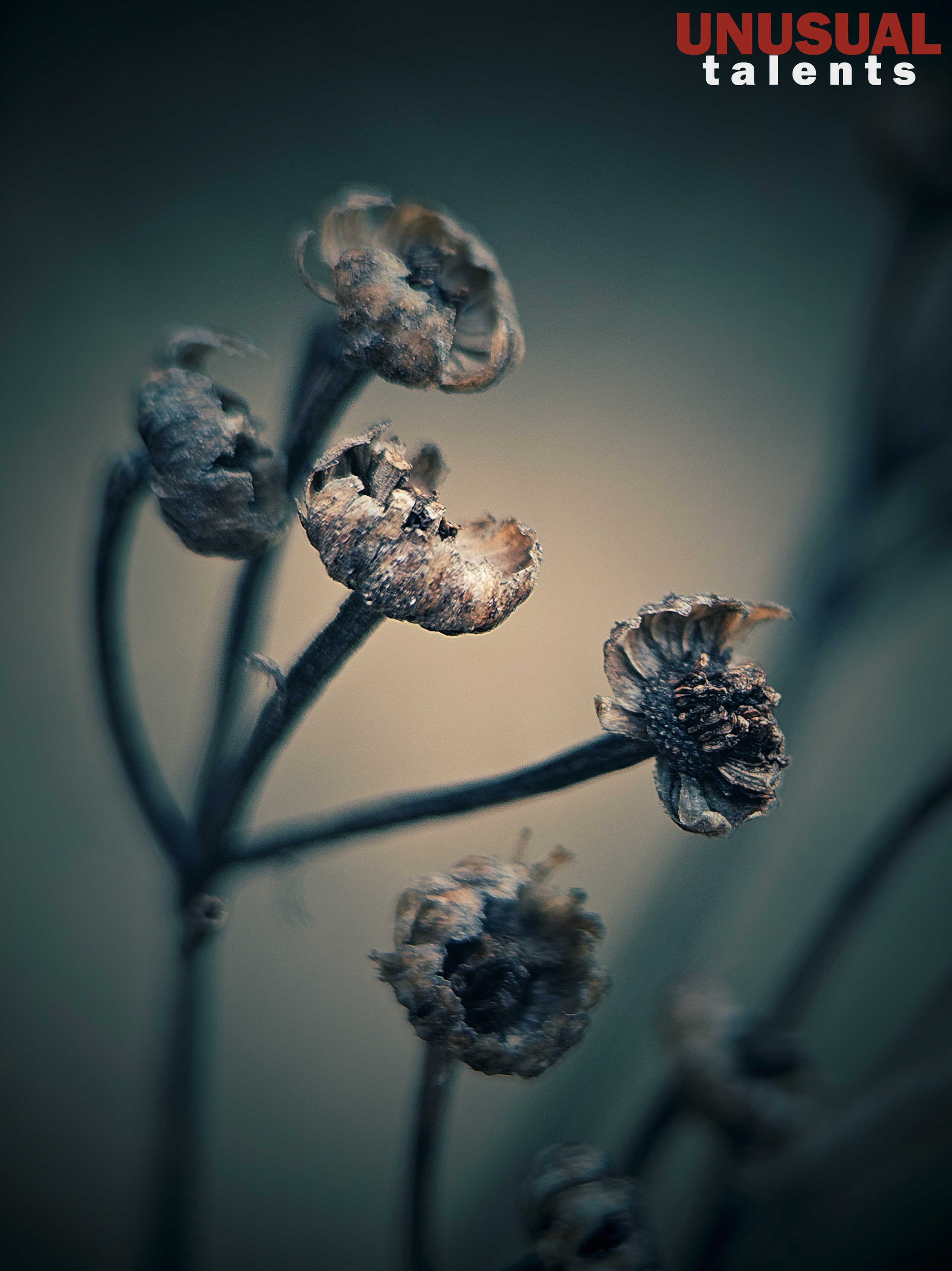 April 2026. UNUSUAL TALENT magazine