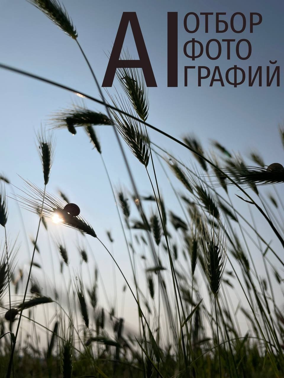 ИИ отбор фотографий. Фотограф Михаил Мордасов, Сочи. Мероприятия, портреты, спорт, репортаж