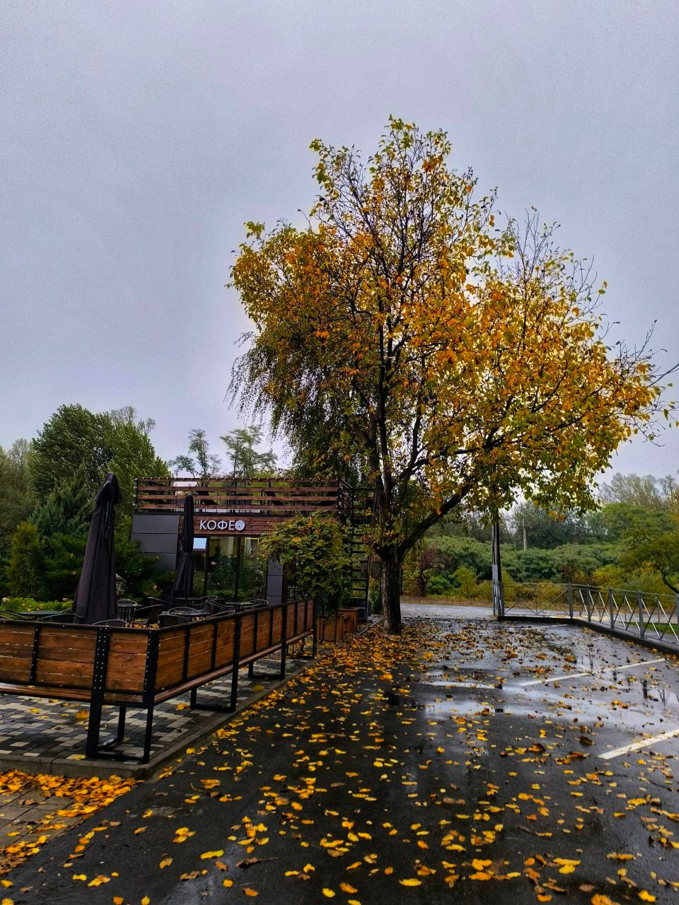 Осень в Пятигорске. Куда пойти чтобы сфотографировать красоту?. Фотосайт Андрея Прокопенко