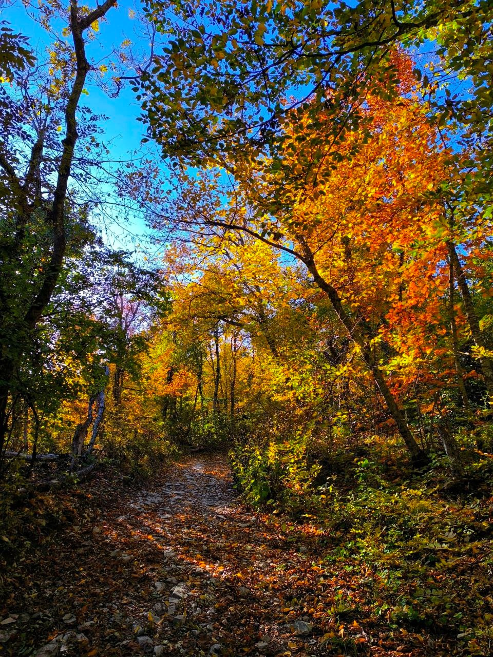 Осень в Пятигорске. Куда пойти чтобы сфотографировать красоту?. Фотосайт Андрея Прокопенко