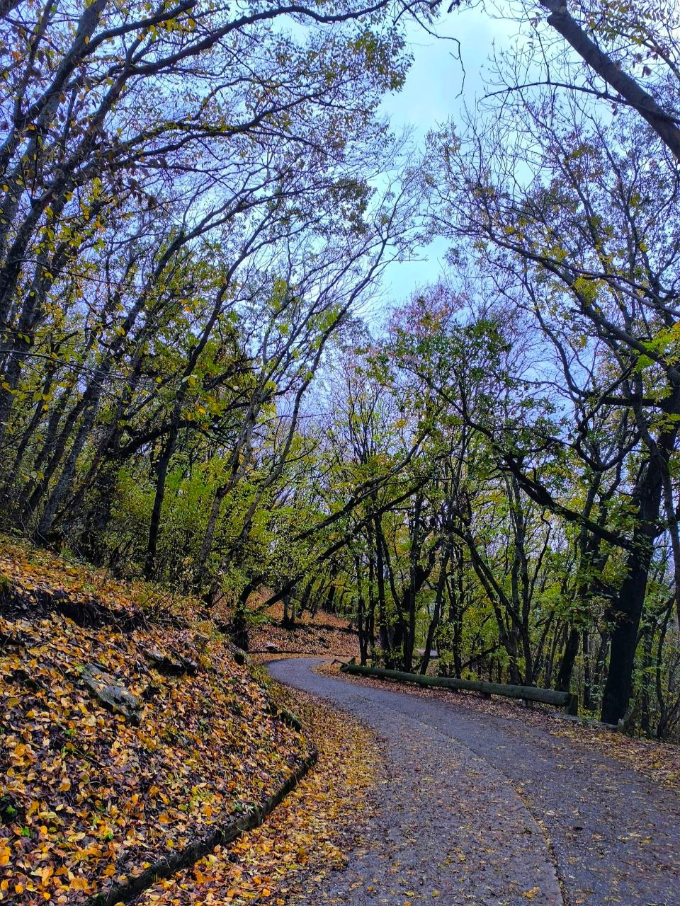 Осень в Пятигорске. Куда пойти чтобы сфотографировать красоту?. Фотосайт Андрея Прокопенко