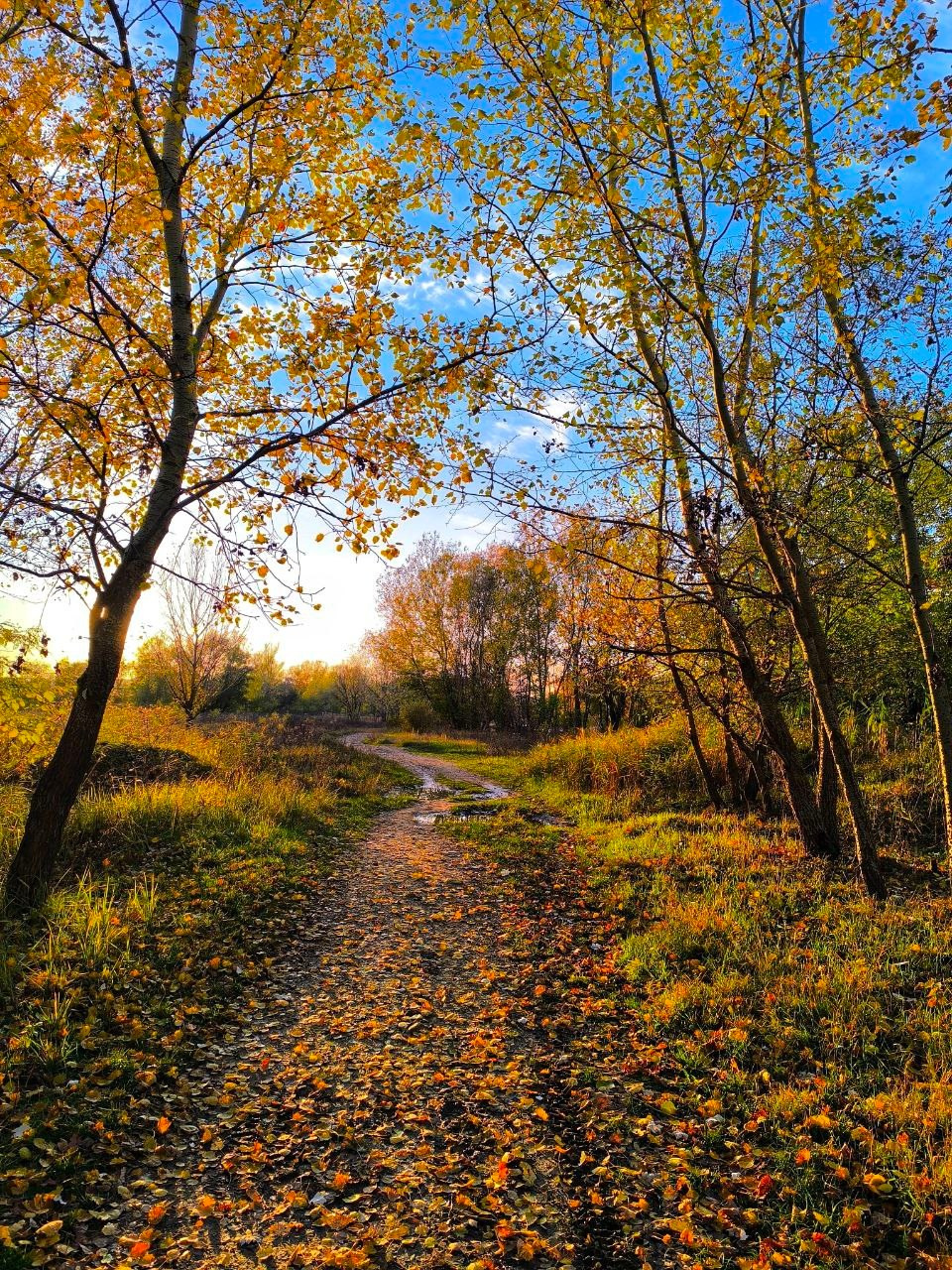Осень в Пятигорске. Куда пойти чтобы сфотографировать красоту?. Фотосайт Андрея Прокопенко