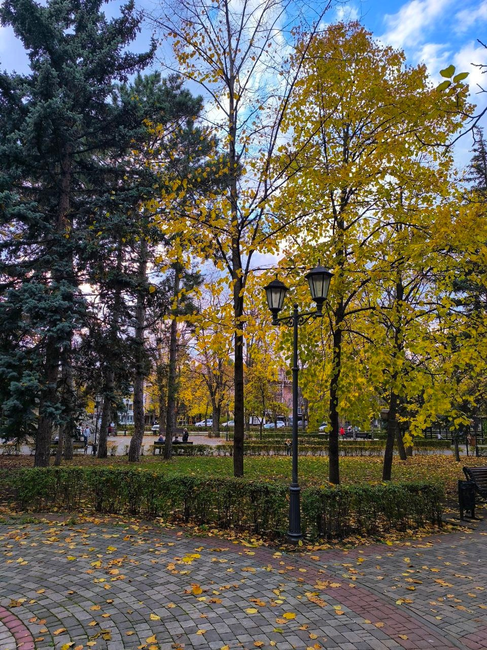 Осень в Пятигорске. Куда пойти чтобы сфотографировать красоту?. Фотосайт Андрея Прокопенко