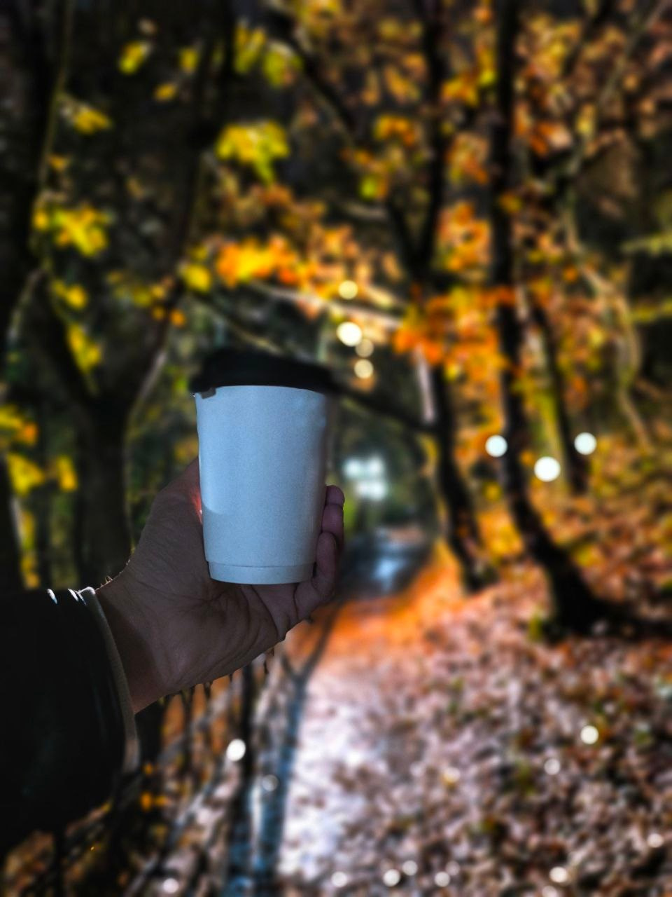 Осень в Пятигорске. Куда пойти чтобы сфотографировать красоту?. Фотосайт Андрея Прокопенко