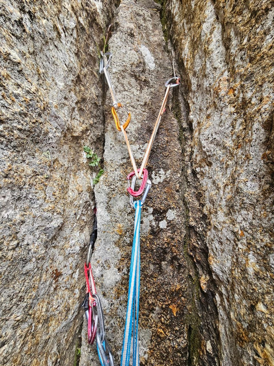 Каравшин. Где мечты сбываются. Премия Стальной Ангел