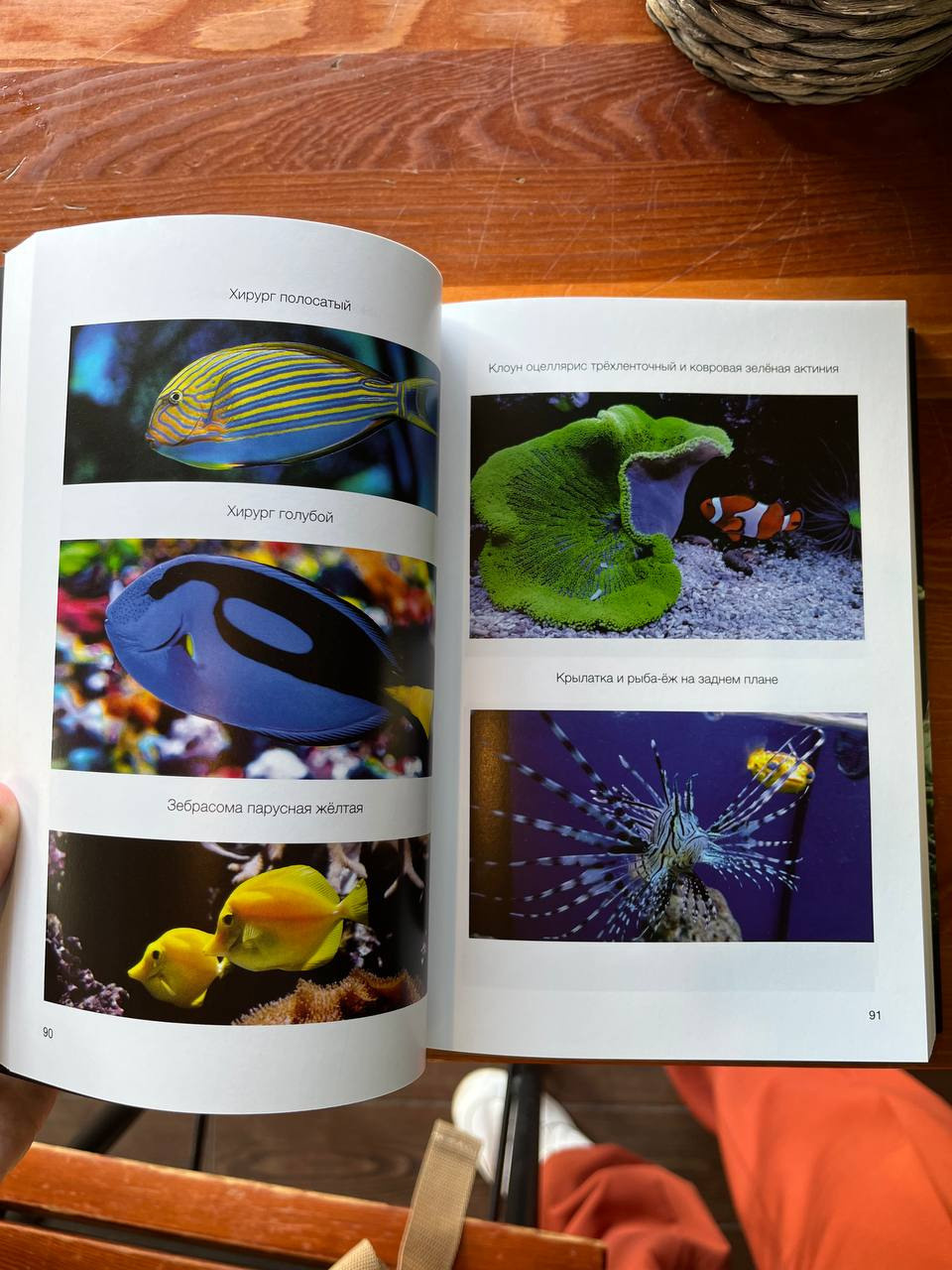 Книга Путеводитель по растительному аквариуму. Аквариумист Максим Ерёмин. Aqua Maxim