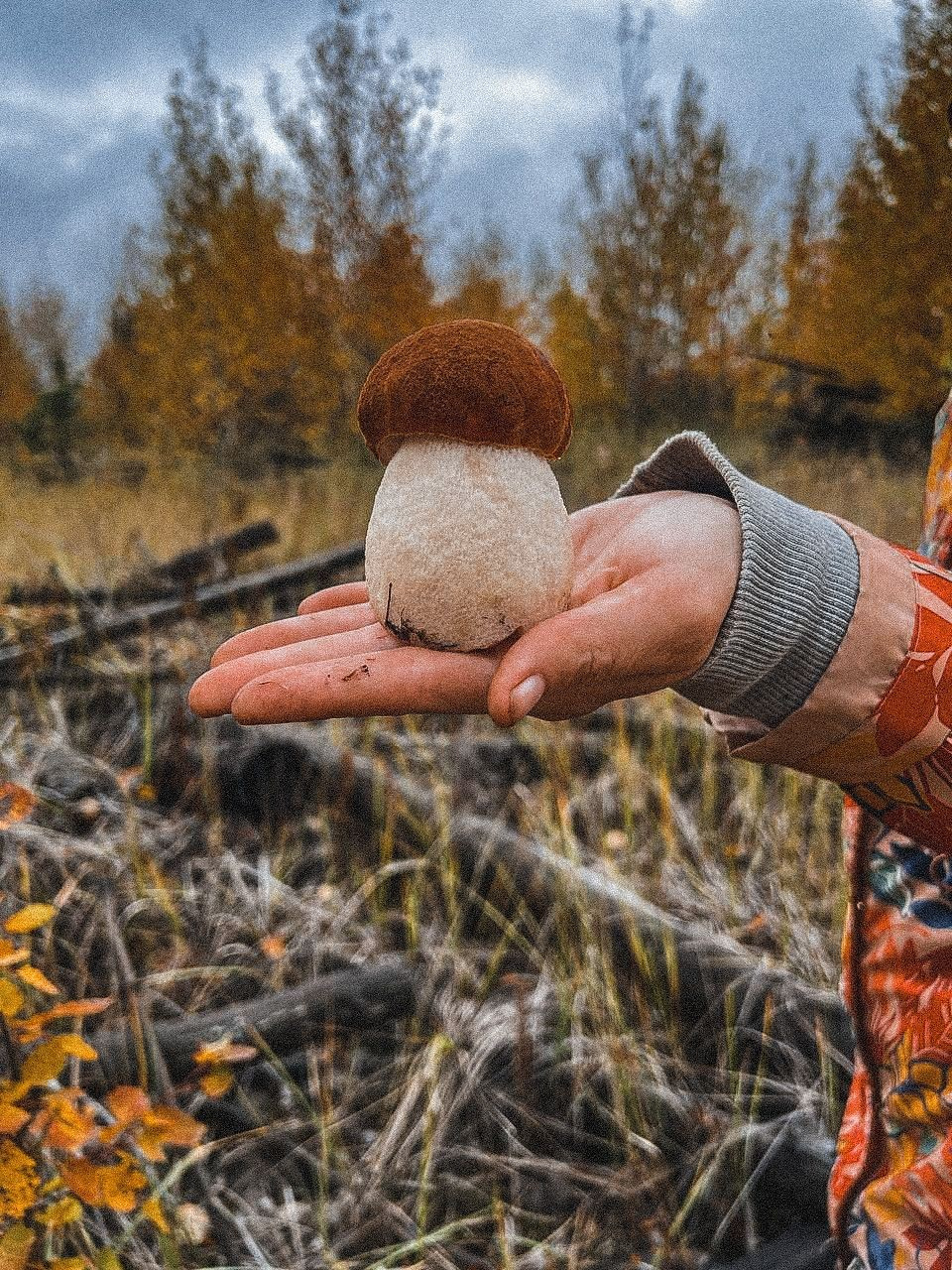 Гайд по мобильной фотографии + пресеты. Фотограф беременности и материнства в Самаре Наташа Бакаянова