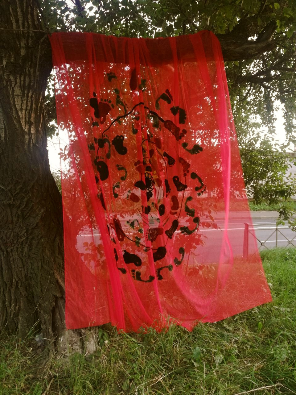 Synopsis of Native. Mmiore