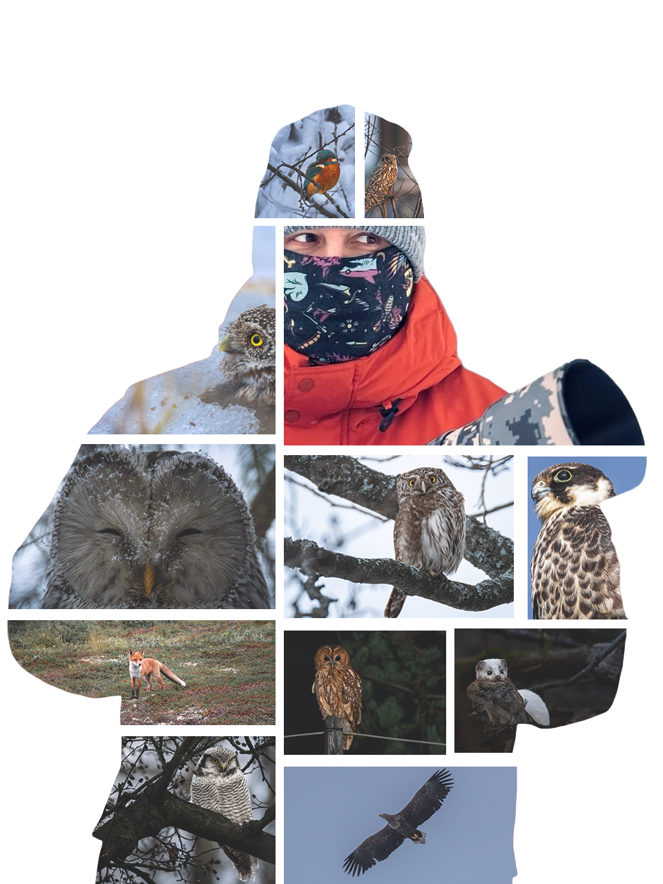 Роман Исаенков фотографии природы