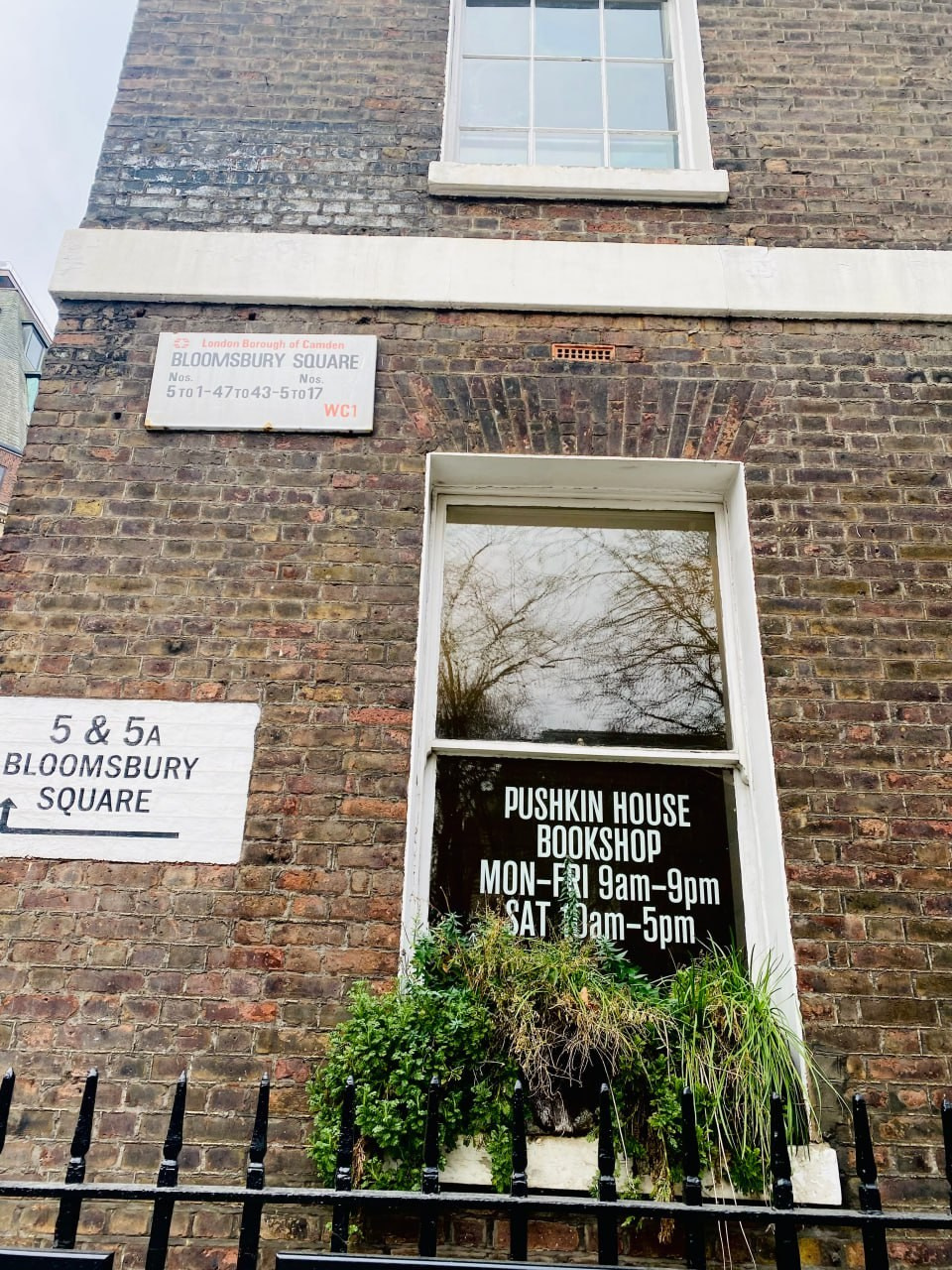 Алина Халитова (Alina Khalitova): ''выходец из Паразита''