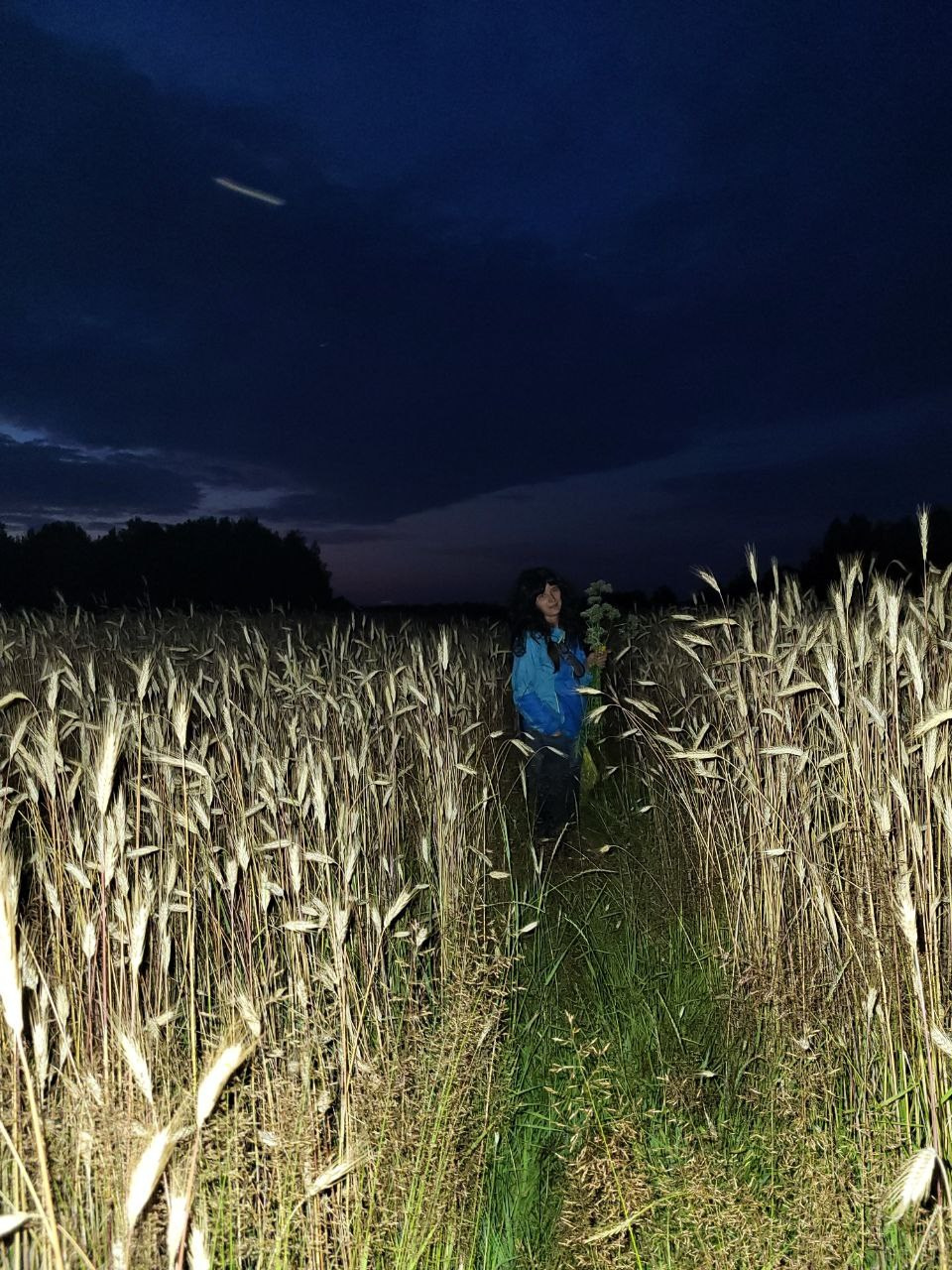 Хождение вдоль. Интервью с Екатериной Васильевой
