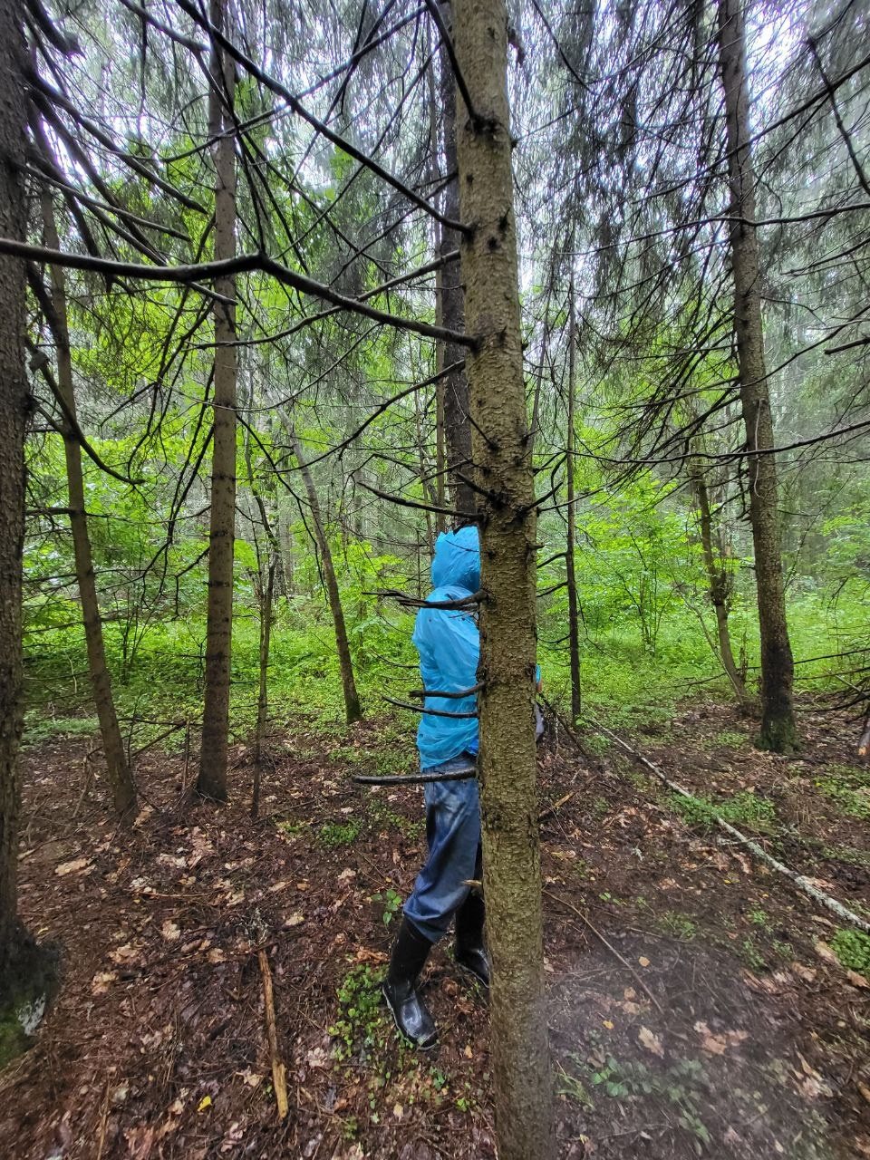 Хождение вдоль. Интервью с Екатериной Васильевой
