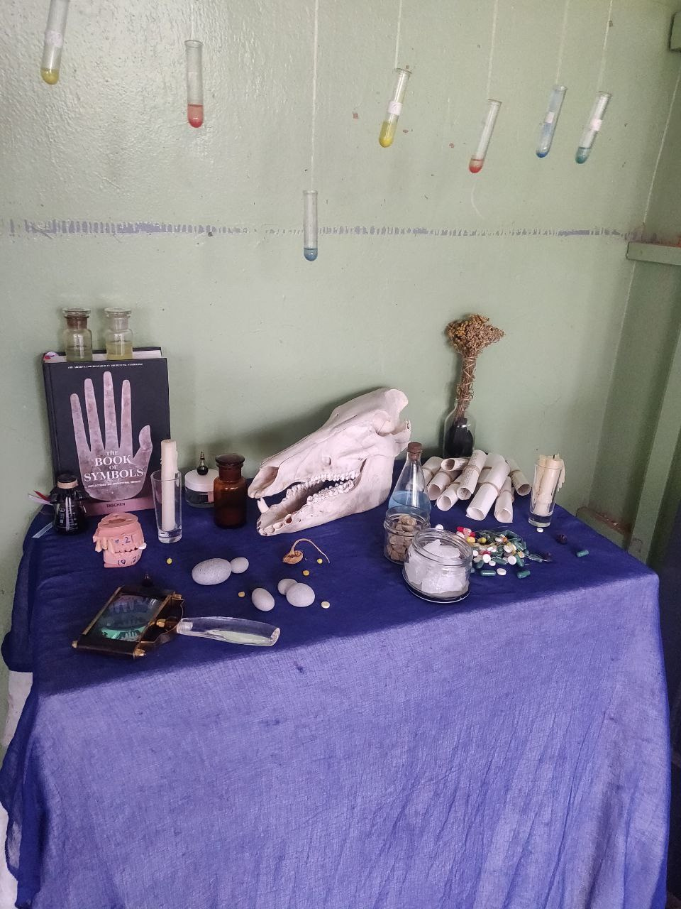 Групповая выставка ''Тело и опыт. в палате 419''