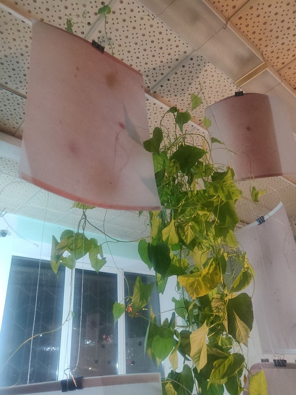 Групповая выставка ''Тело и опыт. в палате 419''