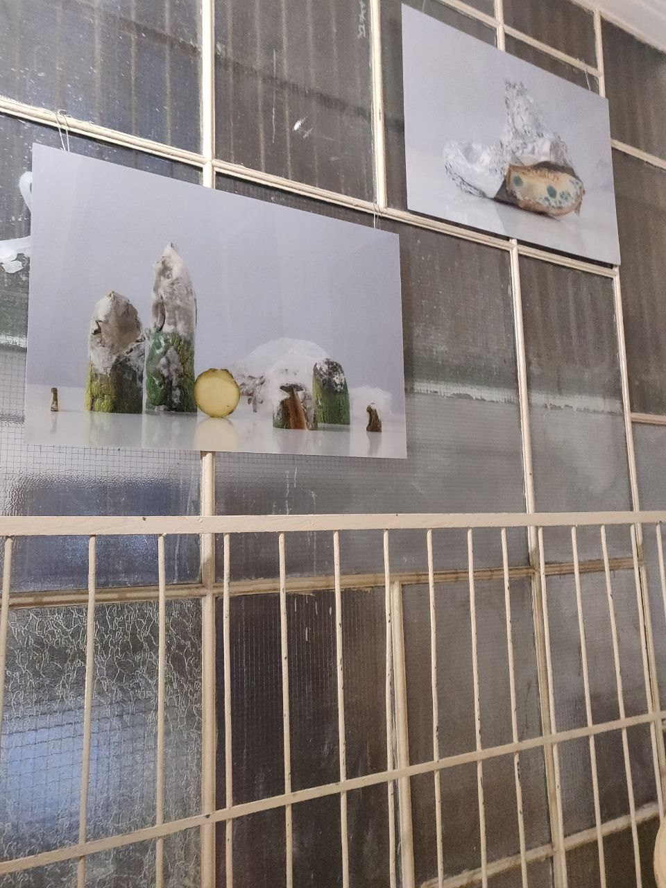 Выставка в парадной: ОРАНЖЕРЕЯ (СПб)