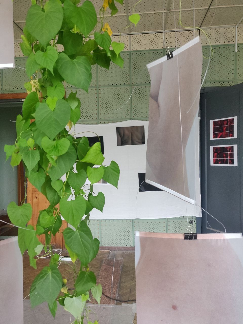 Групповая выставка ''Тело и опыт. в палате 419''