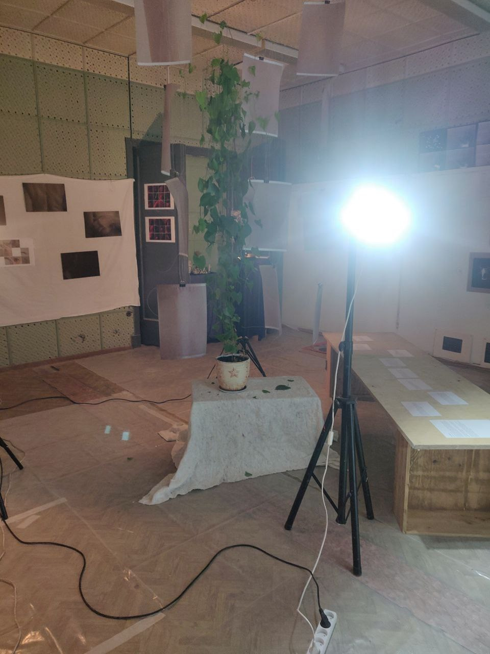 Групповая выставка ''Тело и опыт. в палате 419''